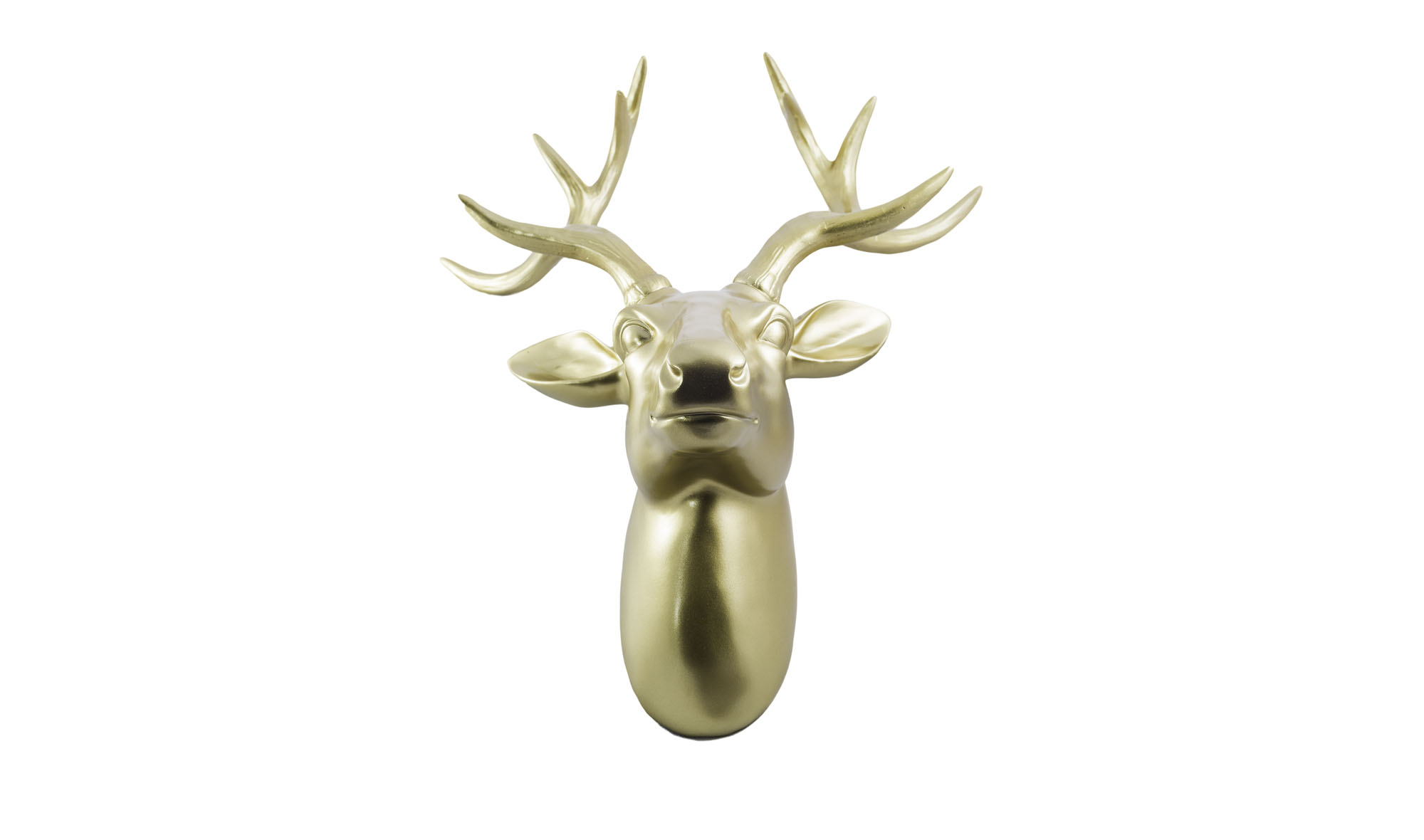 Rudolf Cabeza Oro Astas Oro
