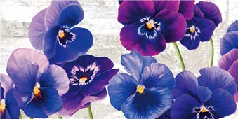 Cuadro canvas dance of pansies Cuadro canvas dance of pansies