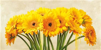 Cuadro canvas gerbera abstraction