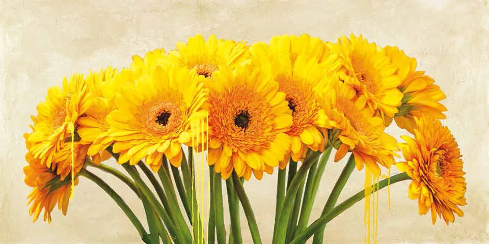 Cuadro canvas gerbera abstraction