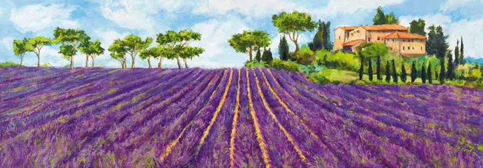 Cuadro canvas campagna provenzale
