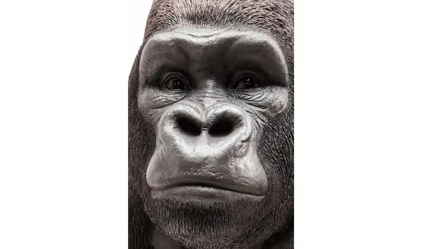 Figura decorativa Monkey Gorilla Front XXL