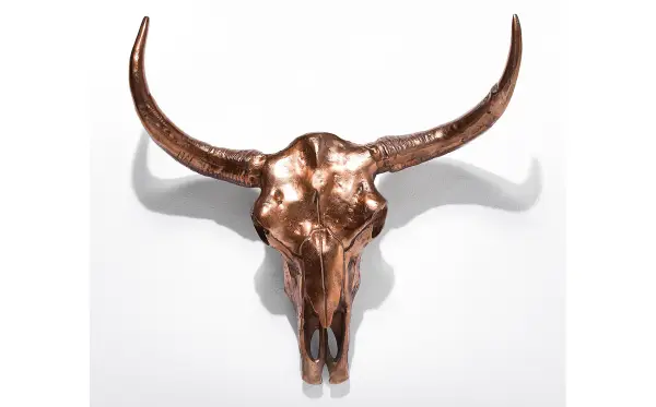 Calavera de antílope cobre