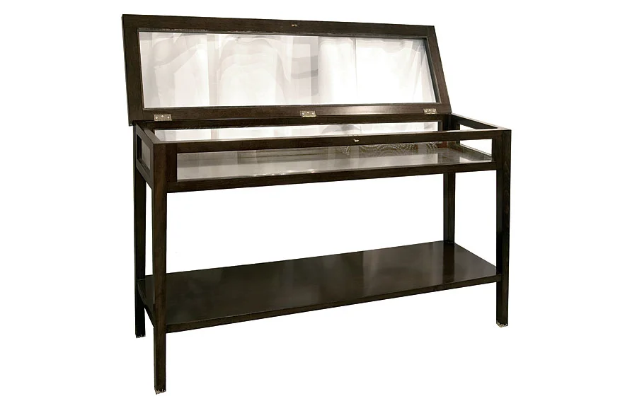 Consola con vitrina moderna