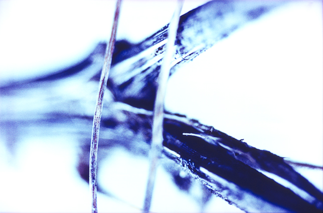 Fotografía Natural 17