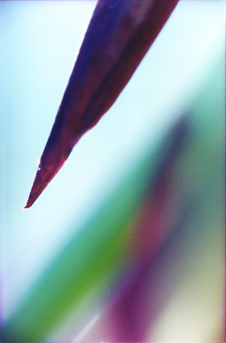 Fotografía Natural 20