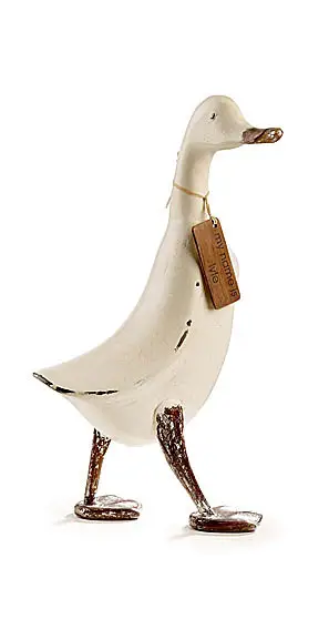 Pato Caminando