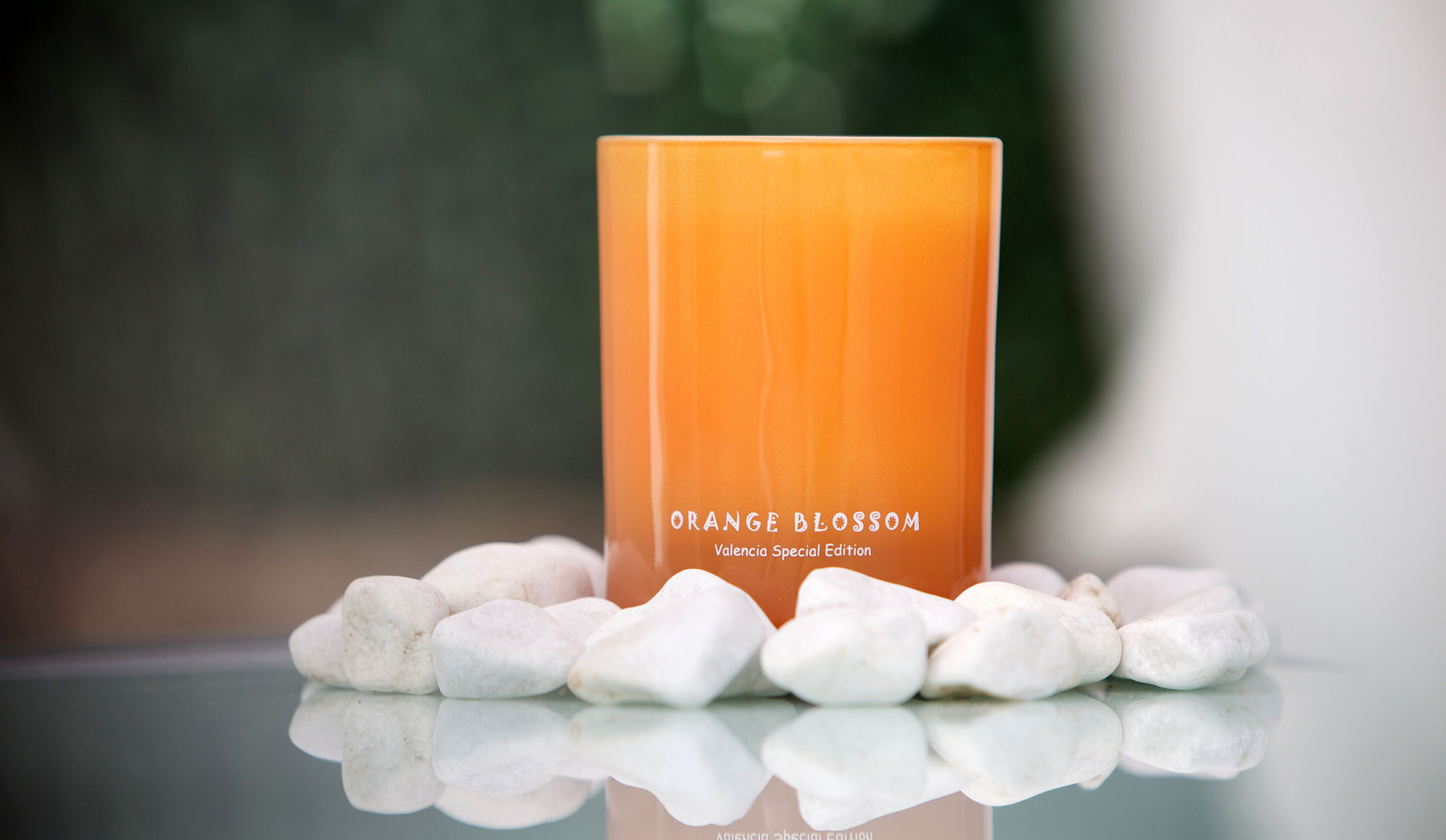 Vela Orange Blossom Valencia Special Edition