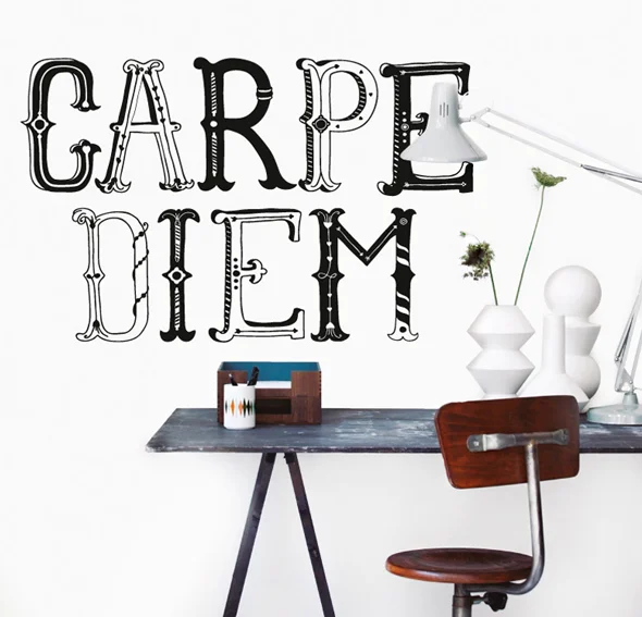 Vinilo carpe diem