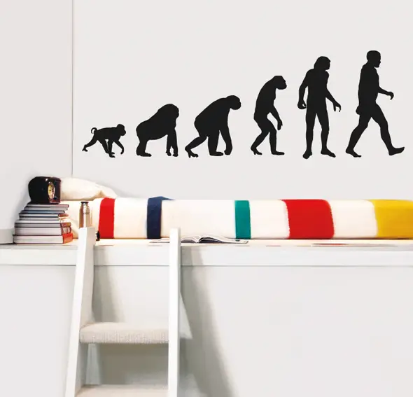Vinilo evolution