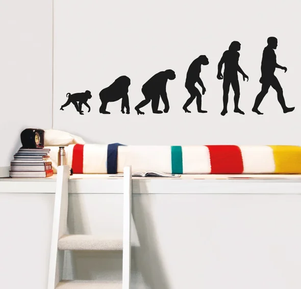 Vinilo evolution