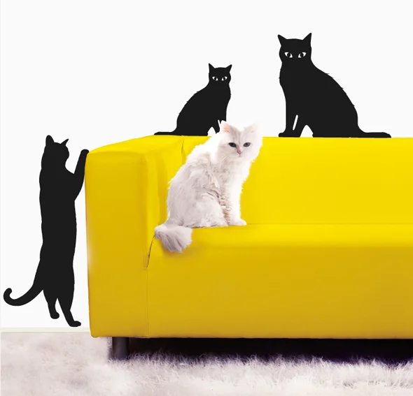 Vinilo miau