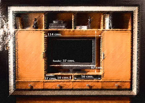 Librería Mueble Tv puertas correderas II