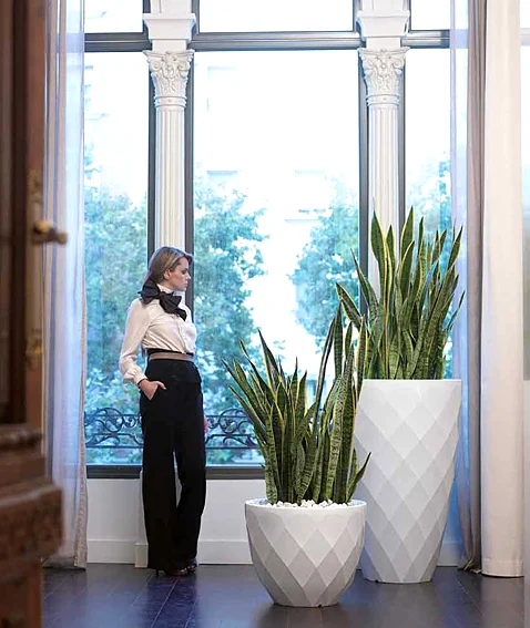 Macetero Jardín Vases