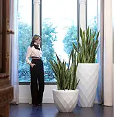 Macetero Jardín Vases