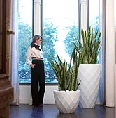 Macetero Jardín Vases Macetero Jardín Vases